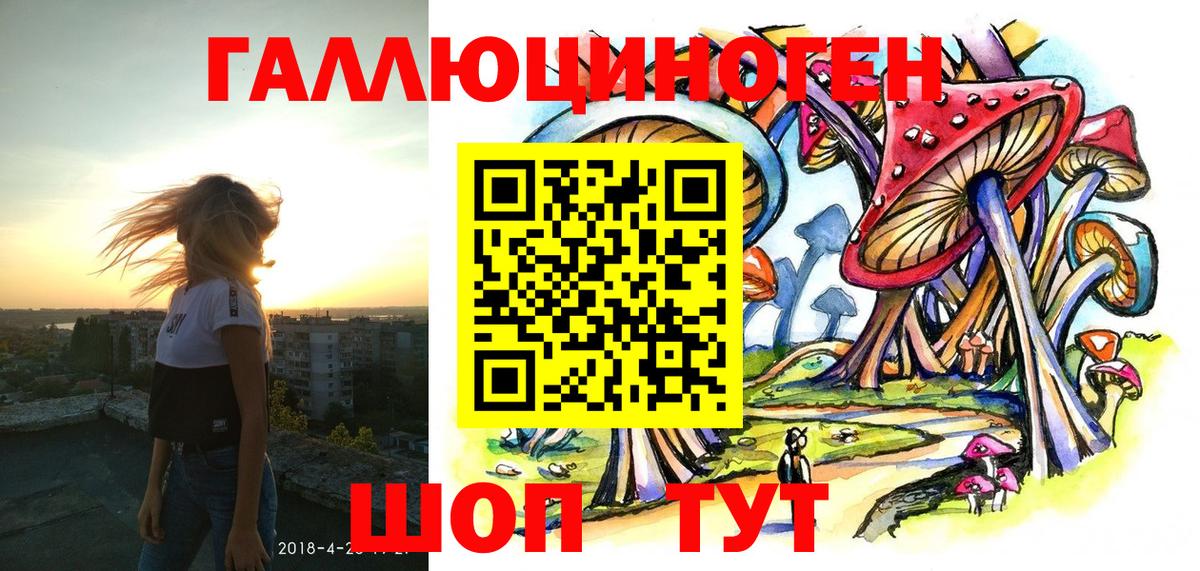 Железногорск  Галлюциногенные грибы прущие грибы  Вход с VPN 