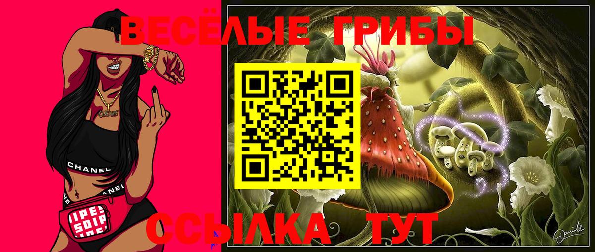 Псилоцибиновые грибы мухоморы Железногорск